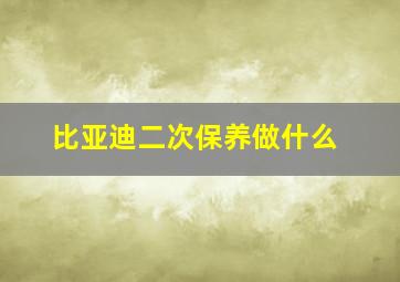 比亚迪二次保养做什么