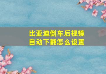 比亚迪倒车后视镜自动下翻怎么设置