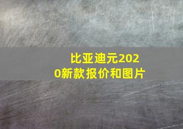 比亚迪元2020新款报价和图片