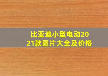 比亚迪小型电动2021款图片大全及价格