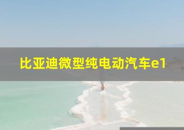 比亚迪微型纯电动汽车e1