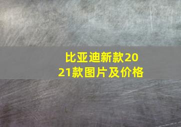 比亚迪新款2021款图片及价格