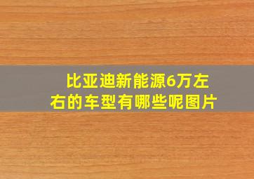 比亚迪新能源6万左右的车型有哪些呢图片