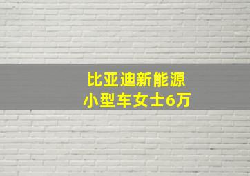 比亚迪新能源小型车女士6万