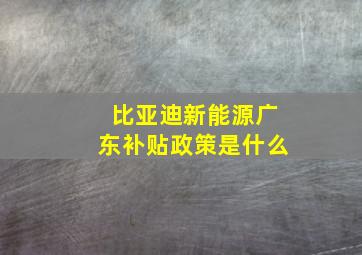 比亚迪新能源广东补贴政策是什么