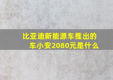 比亚迪新能源车推出的车小安2080元是什么