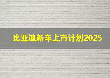 比亚迪新车上市计划2025