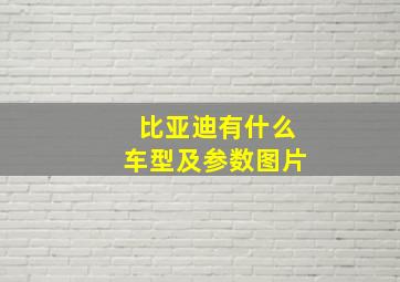 比亚迪有什么车型及参数图片