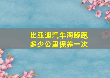 比亚迪汽车海豚跑多少公里保养一次