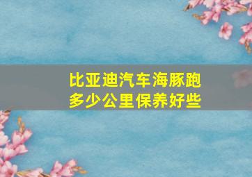 比亚迪汽车海豚跑多少公里保养好些