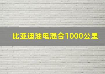 比亚迪油电混合1000公里