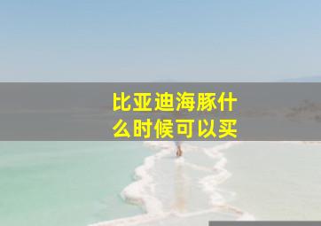 比亚迪海豚什么时候可以买