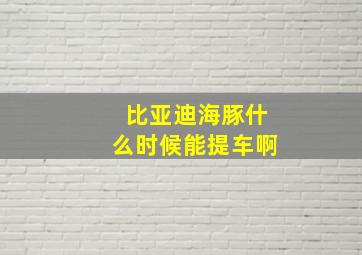 比亚迪海豚什么时候能提车啊