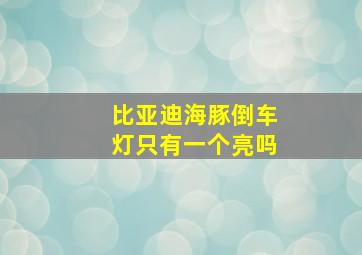 比亚迪海豚倒车灯只有一个亮吗