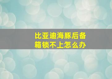 比亚迪海豚后备箱锁不上怎么办