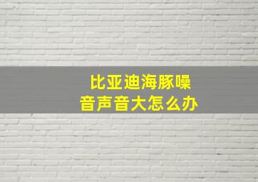 比亚迪海豚噪音声音大怎么办