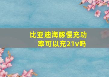 比亚迪海豚慢充功率可以充21v吗