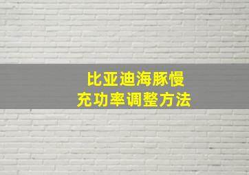 比亚迪海豚慢充功率调整方法