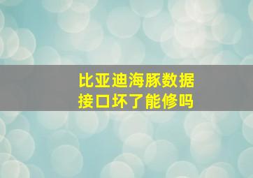 比亚迪海豚数据接口坏了能修吗