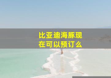 比亚迪海豚现在可以预订么