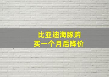 比亚迪海豚购买一个月后降价