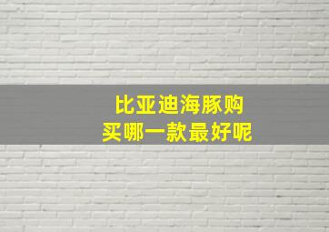 比亚迪海豚购买哪一款最好呢