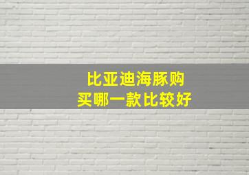 比亚迪海豚购买哪一款比较好