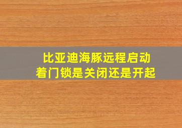 比亚迪海豚远程启动着门锁是关闭还是开起