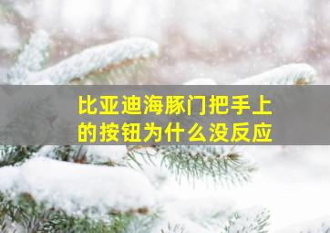 比亚迪海豚门把手上的按钮为什么没反应