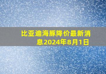 比亚迪海豚降价最新消息2024年8月1日