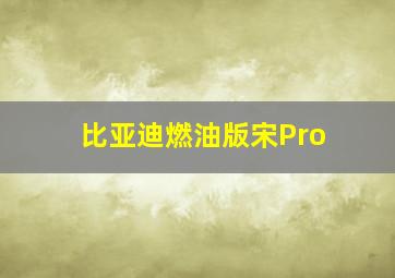 比亚迪燃油版宋Pro