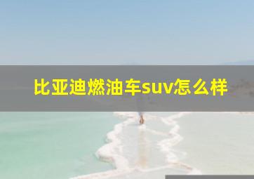 比亚迪燃油车suv怎么样