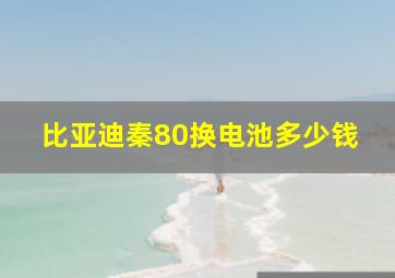 比亚迪秦80换电池多少钱