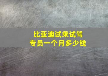 比亚迪试乘试驾专员一个月多少钱