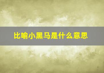 比喻小黑马是什么意思