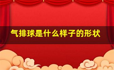 气排球是什么样子的形状