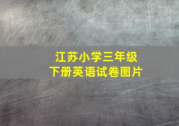 江苏小学三年级下册英语试卷图片