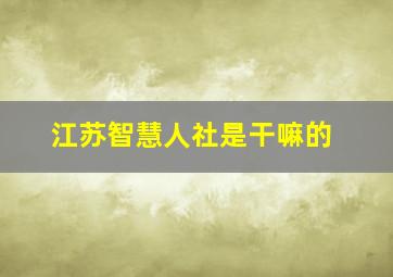 江苏智慧人社是干嘛的