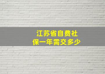 江苏省自费社保一年需交多少