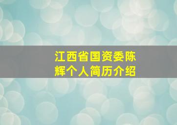 江西省国资委陈辉个人简历介绍