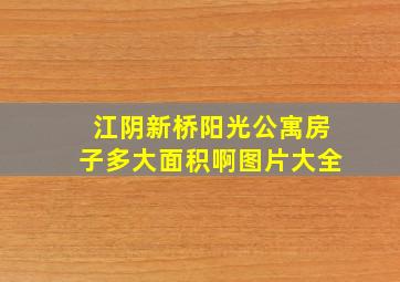 江阴新桥阳光公寓房子多大面积啊图片大全