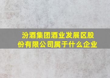 汾酒集团酒业发展区股份有限公司属于什么企业