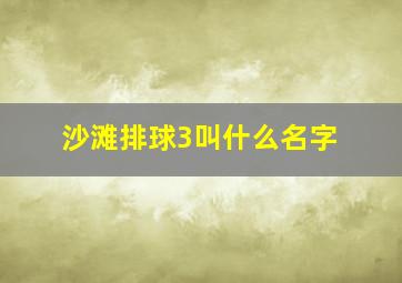 沙滩排球3叫什么名字