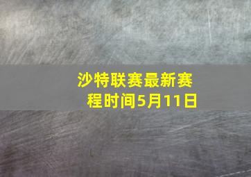 沙特联赛最新赛程时间5月11日