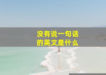 没有说一句话的英文是什么