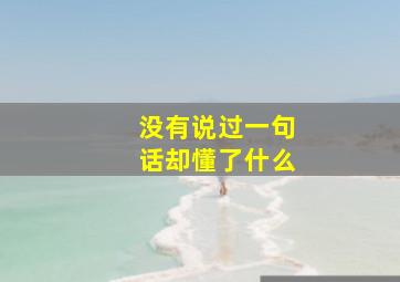 没有说过一句话却懂了什么