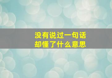 没有说过一句话却懂了什么意思