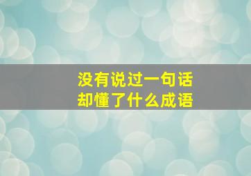 没有说过一句话却懂了什么成语