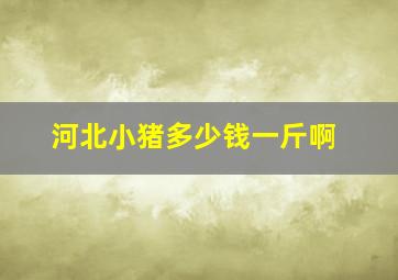 河北小猪多少钱一斤啊