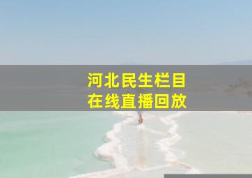 河北民生栏目在线直播回放